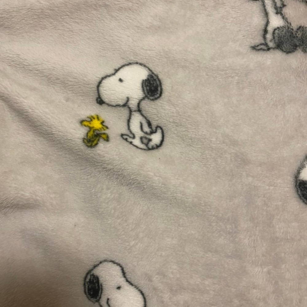 Berkshire Snoopy Fleece Twin Blanket/Throw